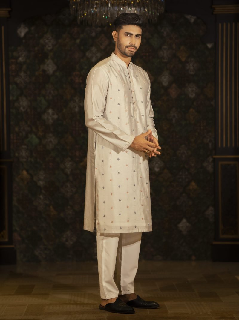 Party Wear Gray Colored Silk Panjabi