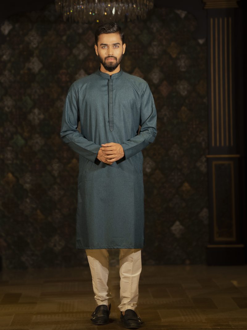 Nice Blue Color Casual Wear Cotton Panjabi
