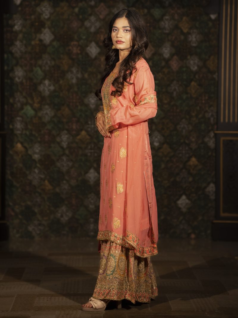 Organza Party Gharara