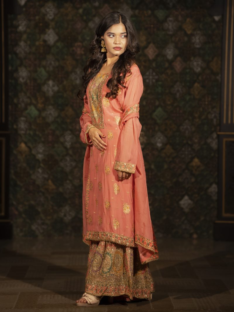 Organza Party Gharara